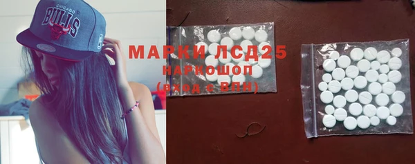 спиды Магас